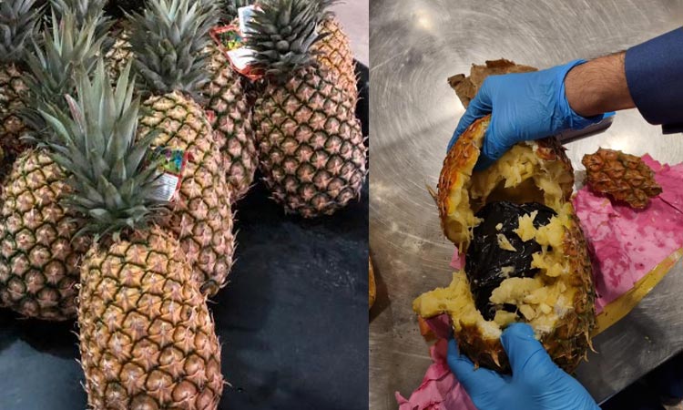 Dubai Customs seizes marijuana stuffed in pineapples