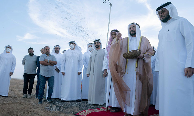 Sheikh Sultan launches first phase of massive wheat farm in Mleiha region