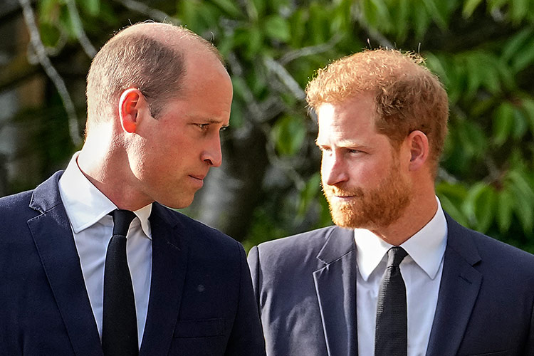 Prince Harry secretly returns to UK for frosty 'reunion' with brother William at uncle's funeral