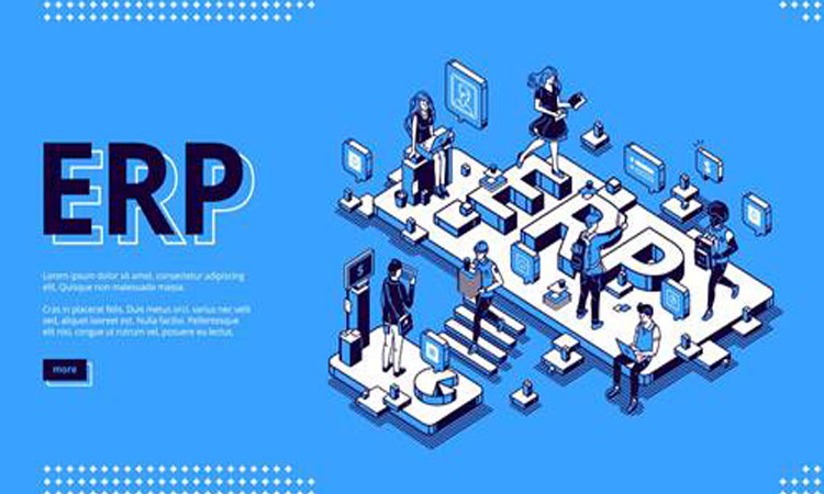 What is ERP, and how do ERP systems work?   