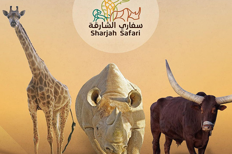  Sharjah to open its doors to one of the world’s largest safari parks