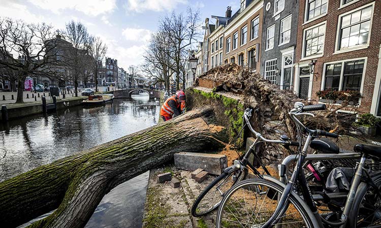 VIDEO: At least 16 dead as Storm Eunice hits Western Europe