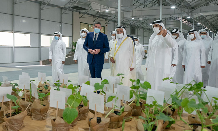 Sheikh Sultan inaugurates greenhouses project in Al Dhaid