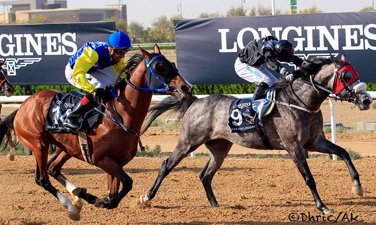 AF Maqam lands Ruler of Sharjah Cup as  Nabooda, Oertel and O’Shea celebrate double