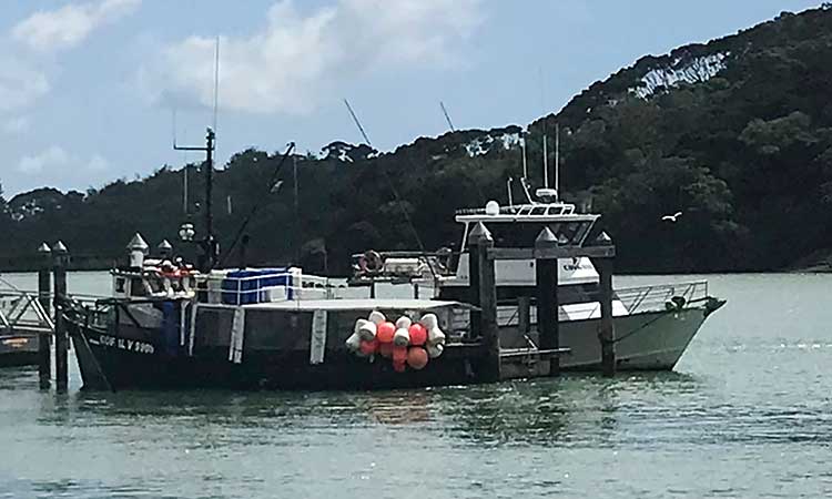 Fishing boat sinks in New Zealand storm; 4 dead, 1 missing