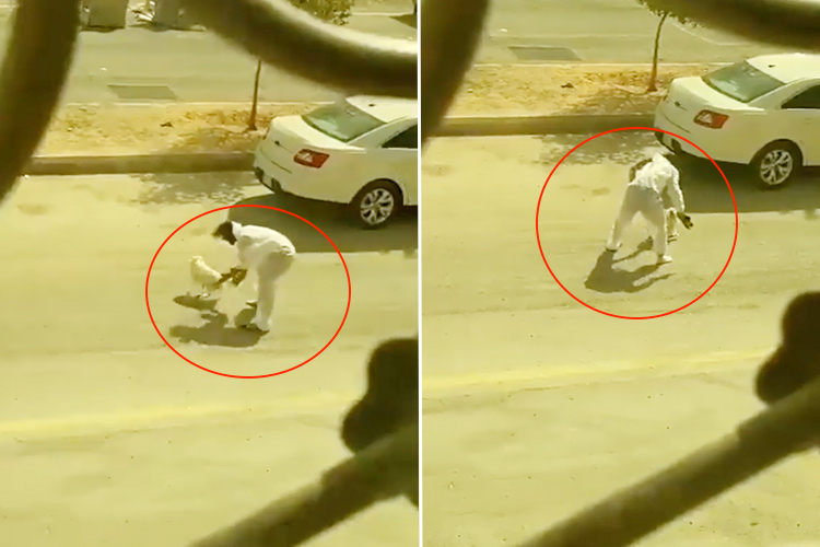 VIDEO: Saudi man torturing a small dog arrested by Riyadh police