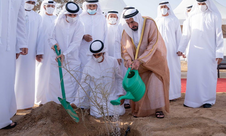 Sheikh Sultan inaugurates wheat farm project in Mleiha area