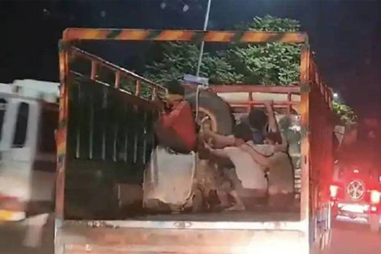 VIDEO: Cattle smugglers throw cows out of truck in high-speed police chase in India