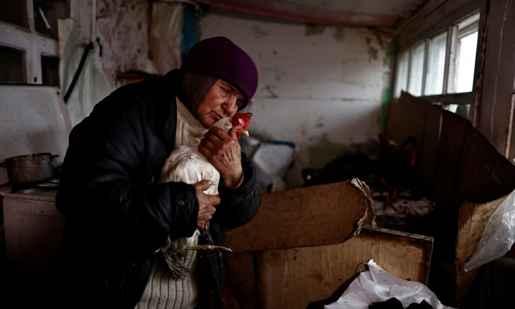 WIDER IMAGE-Behind enemy lines, Ukrainian woman survives with her chickens 