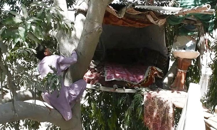 Meet the Pakistani Tarzan who has been living in a tree for 8 years