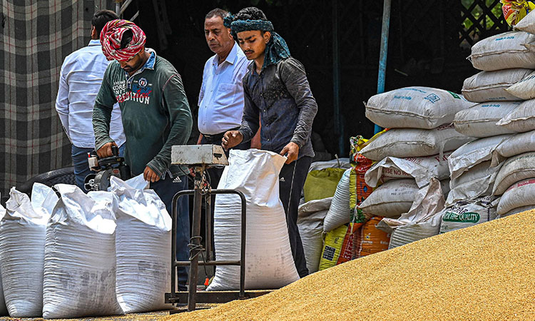 World Bank to provide additional $12b to address 'devastating' global food crisis 