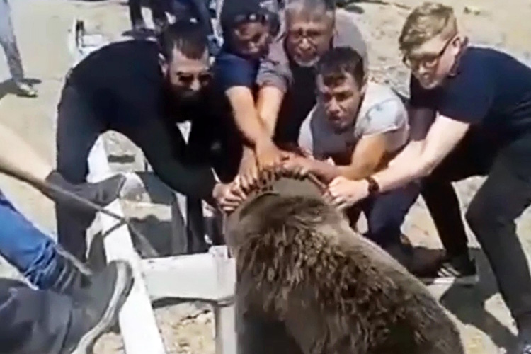 VIDEO: Motorists rescue bear cub whose head got stuck in empty fuel tank