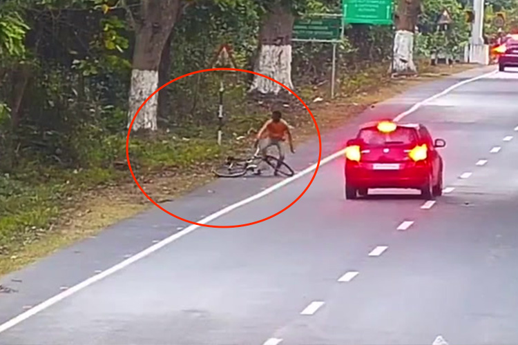 VIDEO: Leopard attacks cyclist on highway in India, knocks him off bike