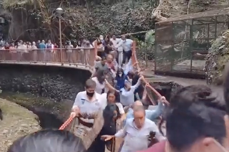  VIDEO: Suspension bridge collapses after renovation in Mexico, several injured 