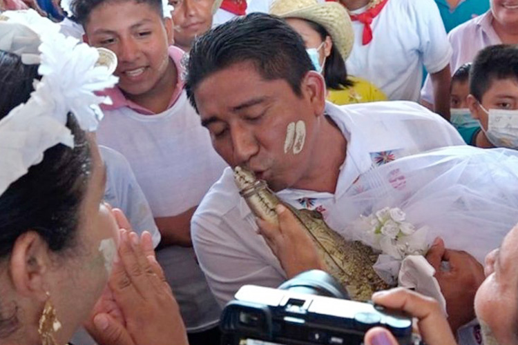 VIDEO: Mexican mayor marries alligator, dances and plants kiss on snout 