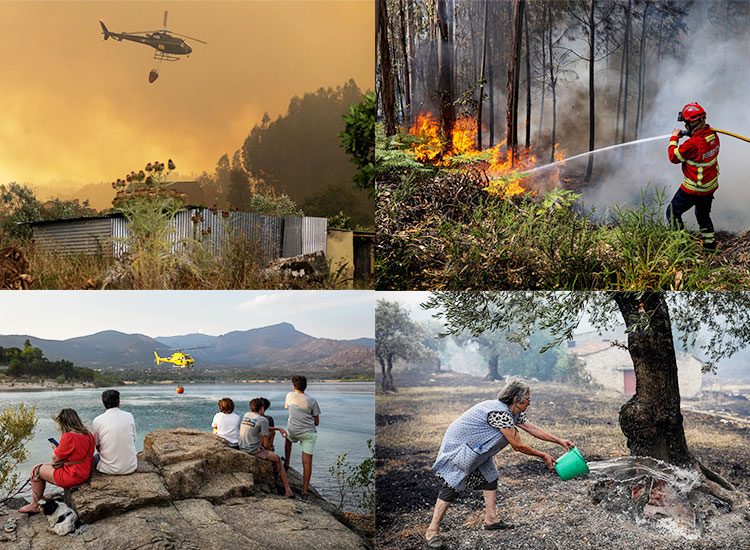 Scorching heatwave sparks wildfires in Europe