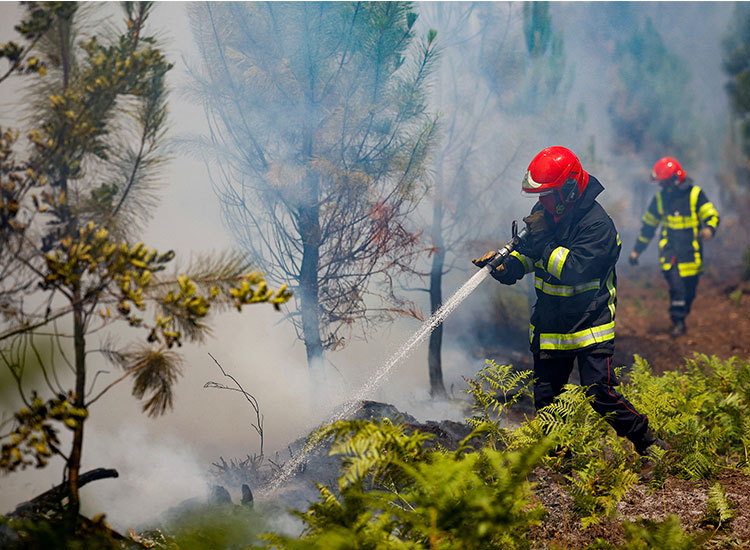 Europe’s firefighters call for reinforcements 