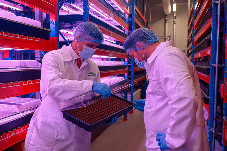 Emirates opens world’s largest vertical farm in Dubai 