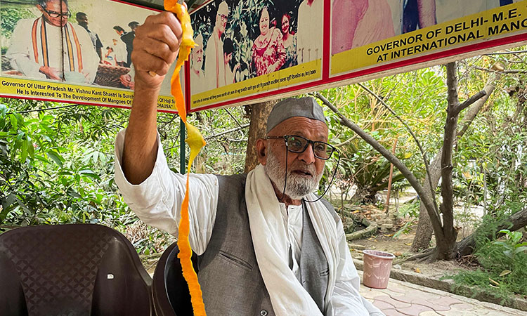 India's mango man Kaleem Ullah Khan is father of 300 varieties