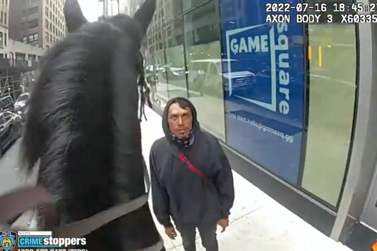 VIDEO: New York police officer on horseback chases sunglass thief along Times Square