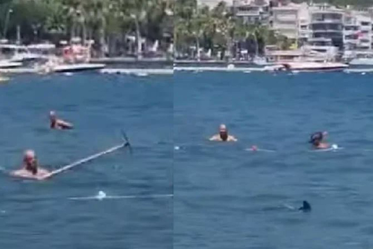 VIDEO: Swimmers beat shark with mop, scare away the predator off Turkiye beach