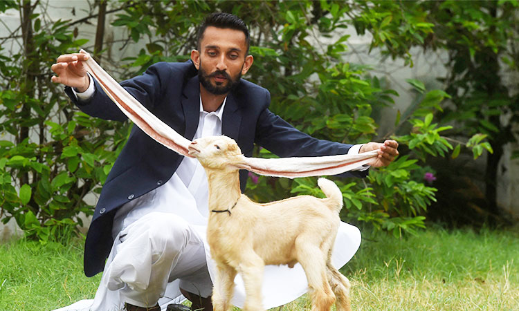 Long-eared kid goat takes Pakistan by storm