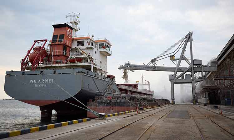 VIDEO: First grain ship  departs from Ukrainian Odesa port