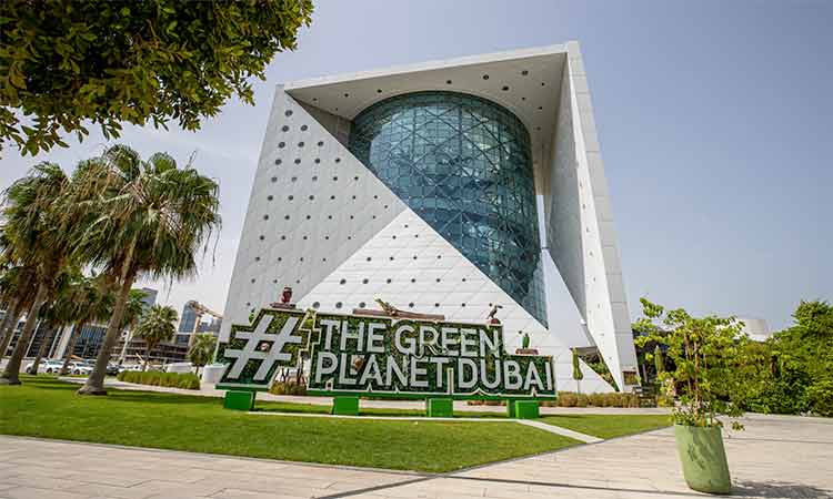 The Green Planet at City Walk: A 'rainforest' with 3,000 exotic species