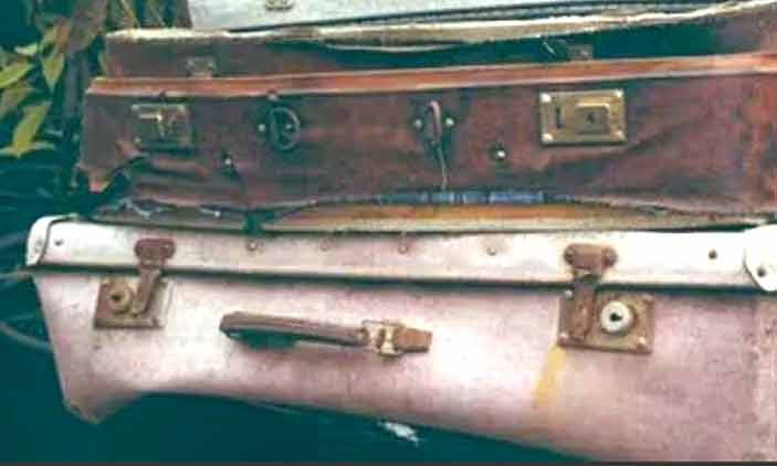 Remains of two children found in suitcases auctioned in New Zealand