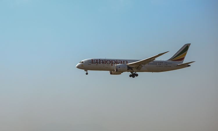 Ethiopian Airlines plane misses landing after both pilots fall asleep