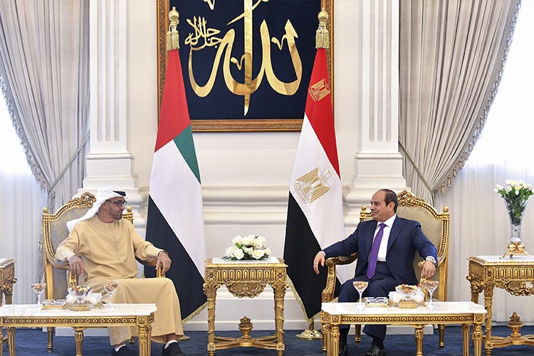 UAE President arrives in Egypt, discusses fraternal relations with Sisi