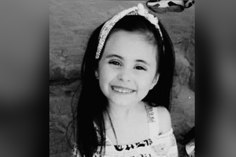 3-year-old Syrian girl’s mutilated body found in garbage dump, killer arrested 