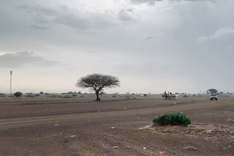 Several areas of country witness heavy rainfall