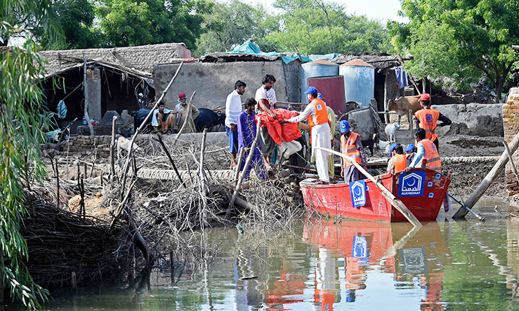 Villagers brave snakes and hunger to save land in flooded Pakistan 