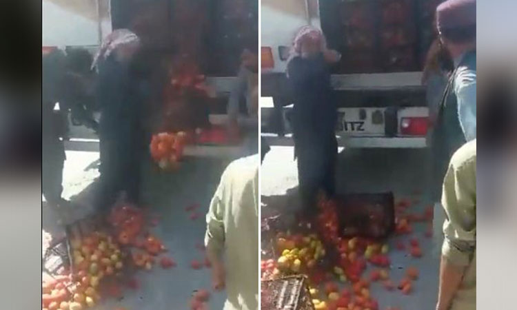 Farmers, growers destroy tomatoes imported from Iran in Pakistani city of Kalat 