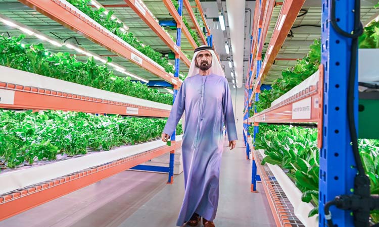 Sheikh Mohammed tours world’s largest vertical hydroponic farm in Dubai