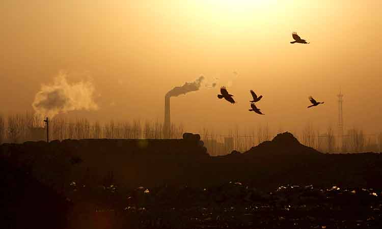 China’s efforts to curb climate change effects