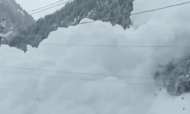 Two bodies recovered from avalanche site in Jammu and Kashmir