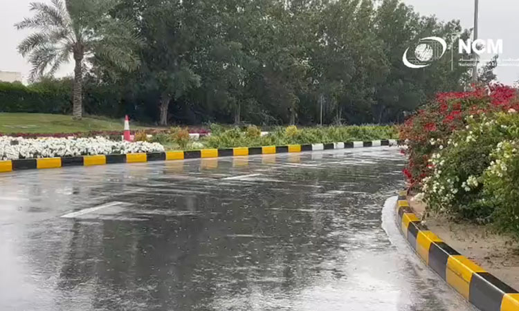 VIDEO: Rain hits various parts of UAE, lowest temperature recorded at 3.4° C