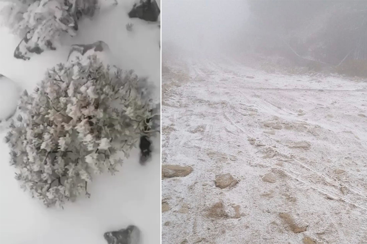 VIDEO: Rare snowfall turns Oman's Jabal Shams into Moscow