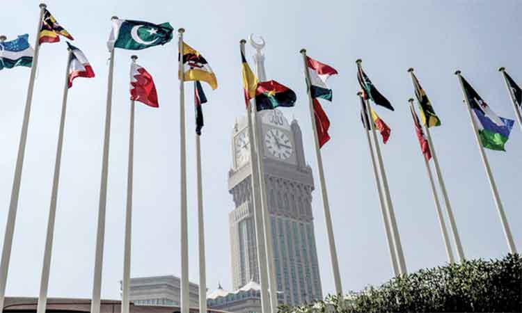 Pakistan to emphasise urgency of peace in Gaza at OIC meeting: Foreign Ministry