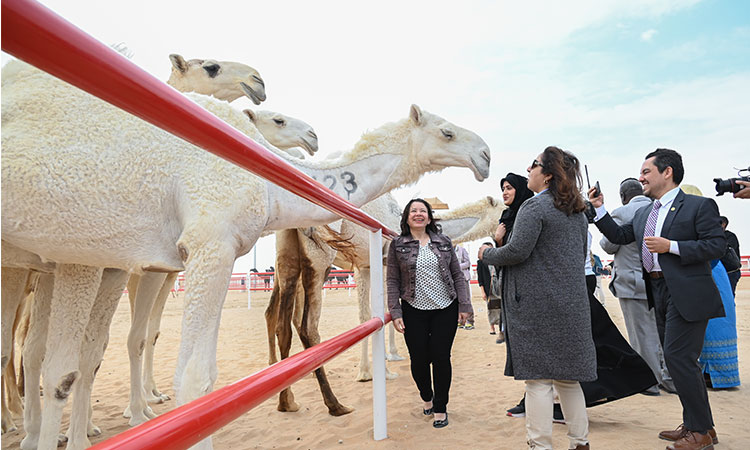 Arab, foreign envoys visit heritage, tourist attractions in Al Dhafra 