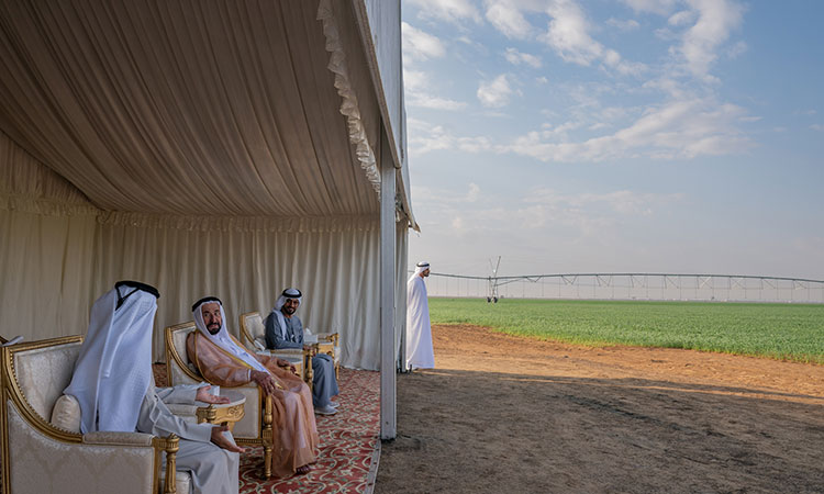 Sheikh Sultan inspects Mleiha wheat farm