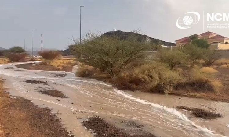 Sporadic rain in several areas of UAE; lowest temperature recorded in Al Ain