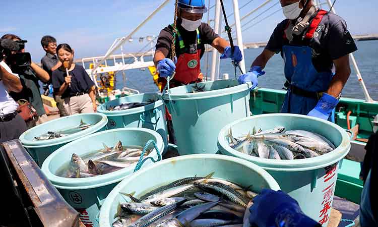 Sushi standoff: Russia joins China in banning seafood from Japan