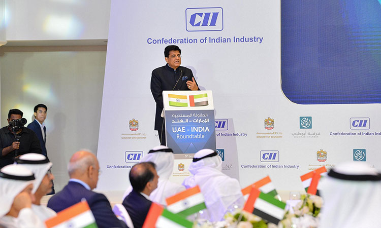 Indian minister hails growing economic ties with UAE