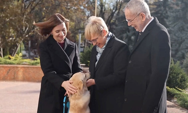 Moldovan leader’s dog bites visiting Austrian president