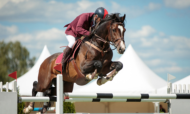 Fujairah set to host its first show jumping competition next month