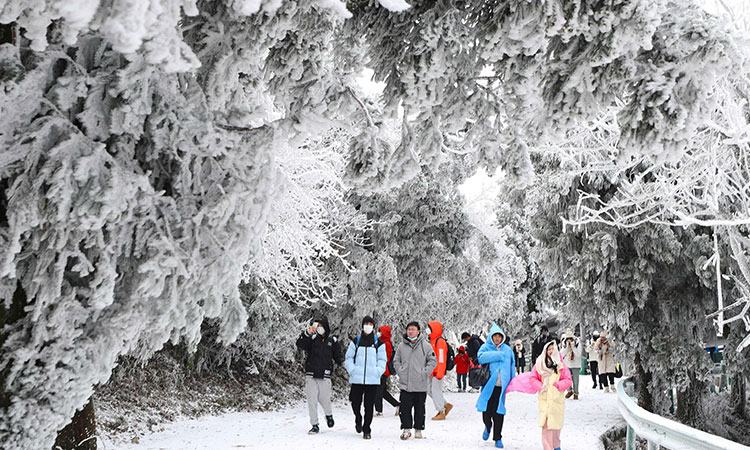 Rare snowfall in southern China as deep freeze grips the north