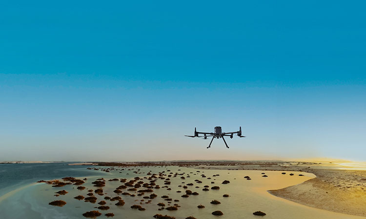 Abu Dhabi eco body uses drones to plant seeds in Al Dhafra region